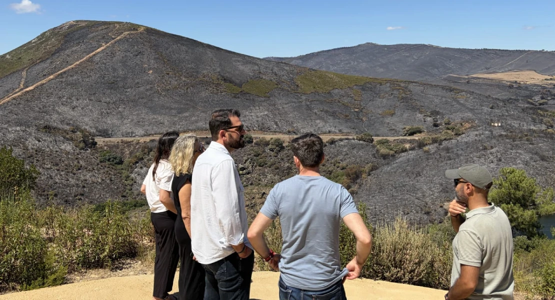 El PSOE pide más prevención tras el incendio de Casas de Millán