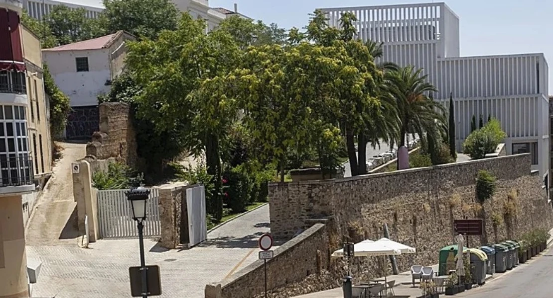 Se oponen al proyecto para la nueva Plaza Marrón de Cáceres: "¿Qué daño hacen los árboles?"