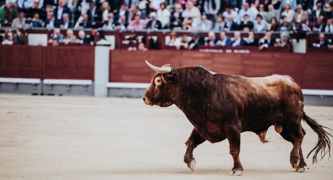 OPINIÓN: Fundación Weber, tauromaquia y conservación de la naturaleza