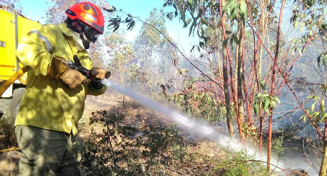 Extremadura registra 19 incendios forestales en una semana