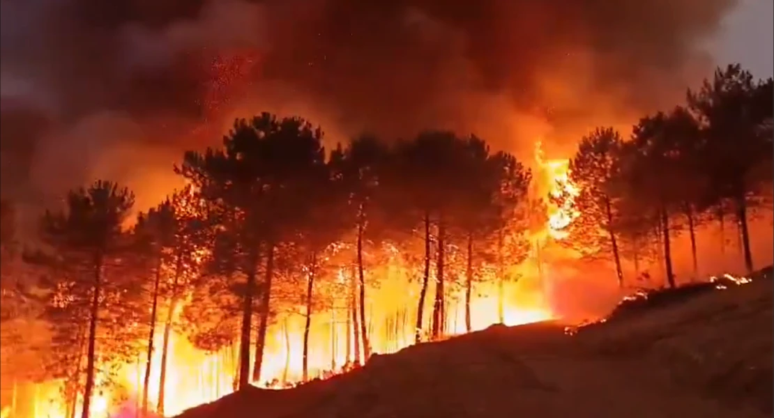 Imágenes desde dentro del incendio de Las Hurdes: las llamas alcanzan varios metros de altura