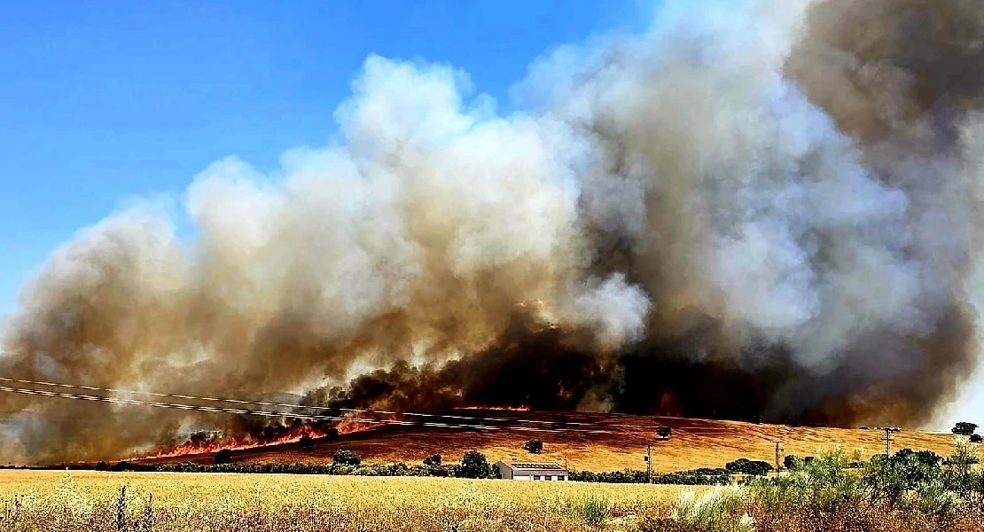 "Los incendios también arrasan explotaciones del sector primario"