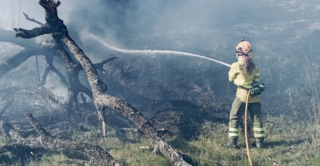 El plan Infoex interviene en 30 incendios forestales durante la última semana