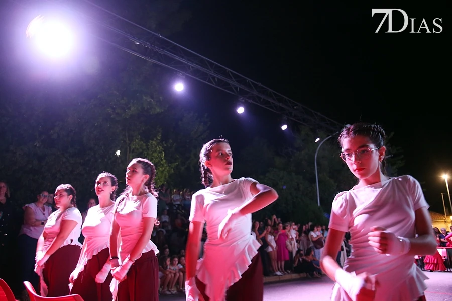 La Noche en Blanco sanvicenteña llena de música, baile y arte al municipio