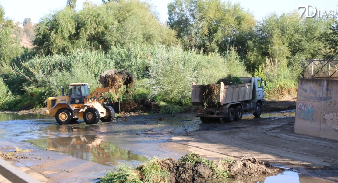 Así están siendo los trabajos para limpiar los arroyos Rivillas y Calamón en Badajoz
