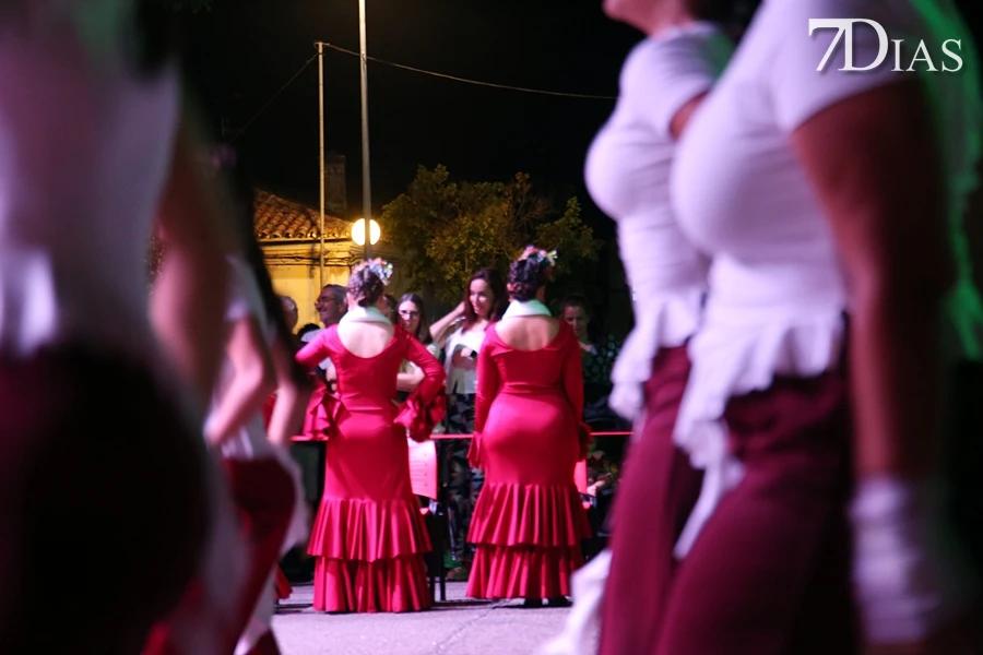 La Noche en Blanco sanvicenteña llena de música, baile y arte al municipio