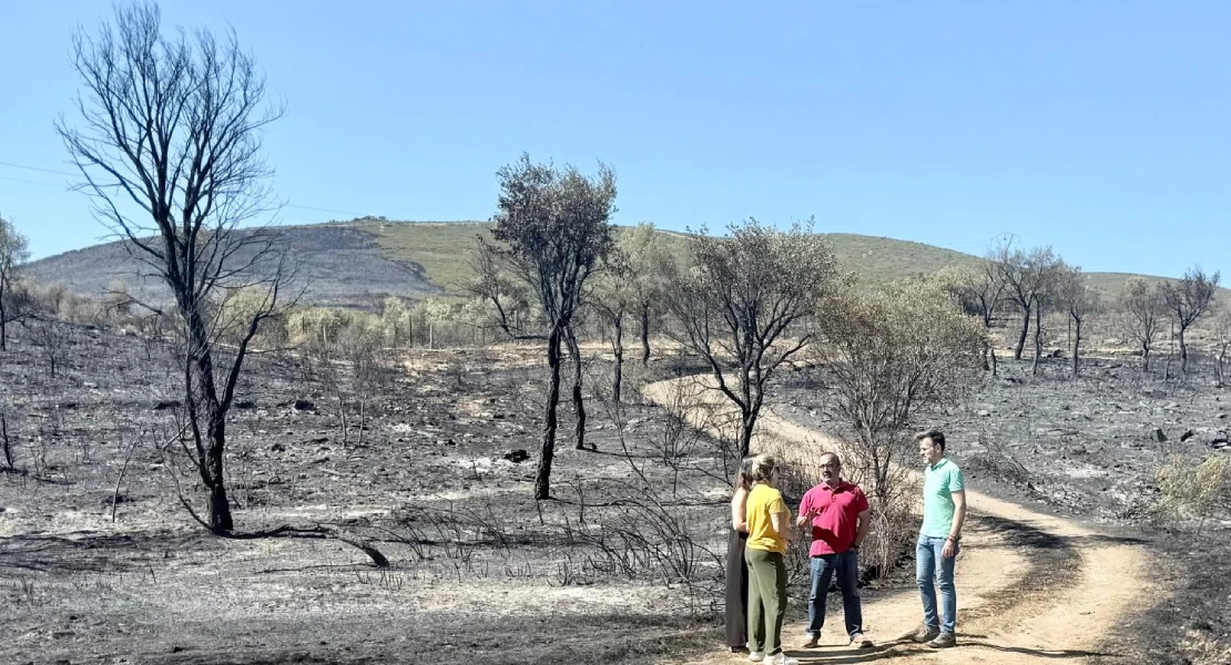 Trabajan para devolver la normalidad a Mirabel y Casas de Millán tras el incendio