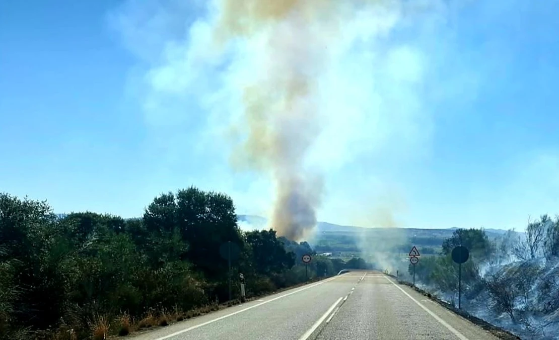 Declarado un incendio forestal cercano a la carretera en Montehermoso (CC)