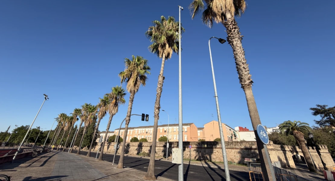 El PSOE de Badajoz exige aclarar qué pasará con cada árbol afectado por las obras del parking
