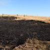 Grave incendio en Badajoz: cortan la N-432 y activan el Nivel 1 de peligrosidad