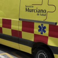 Muere un hombre tras caerle una rama de un árbol