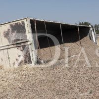 Un camión termina en la cuneta tras salirse de la A-5 en dirección Mérida
