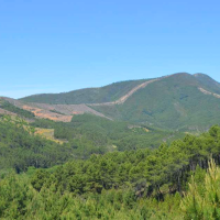Somos Cáceres pide un monte "vivo" para prevenir incendios forestales