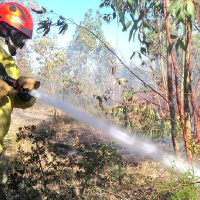 Extremadura registra 19 incendios forestales en una semana