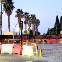 Tachan la solución para los árboles afectados por el parking como un "intento de engaño grosero"