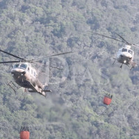 La Junta ordena la desescalada a cero del Plan Infocaex sobre el incendio de Pinofranqueado