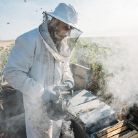 Exigen ayudas urgentes para garantizar la continuidad de las explotaciones apícolas cacereñas