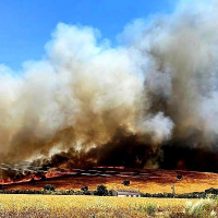 "Los incendios también arrasan explotaciones del sector primario"