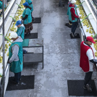 Las cooperativas extremeñas estrenan un nuevo reglamento