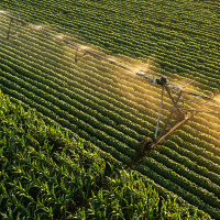 Sube la subvención de los seguros agrarios contratados en 2026 en Extremadura