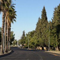 El PSOE pide al Ayto. que aclare el destino del arbolado ubicado en la zona de las nuevas obras