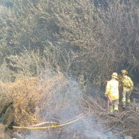 Incendio cerca de la rave que se está desarrollando en La Granja (CC)