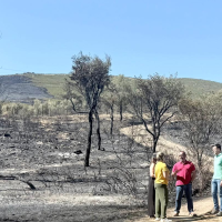 Trabajan para devolver la normalidad a Mirabel y Casas de Millán tras el incendio