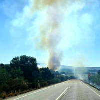 Declarado un incendio forestal cercano a la carretera en Montehermoso (CC)