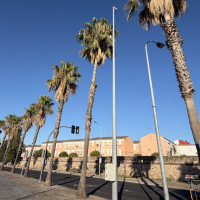 El PSOE de Badajoz exige aclarar qué pasará con cada árbol afectado por las obras de Entrepuentes