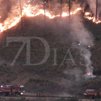 Ruegan que se renueve la política forestal en Extremadura: “No podemos esperar a que llueva”