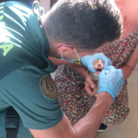 Investigado por abandonar siete cachorros en un contenedor en Extremadura