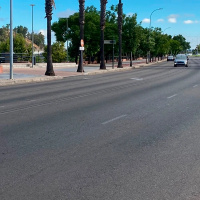 Polémica alrededor de los nuevos aparcamientos en Badajoz: "Otra vez las víctimas son los árboles"