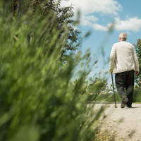 Advierten del incremento de las desapariciones de personas mayores debido al calor