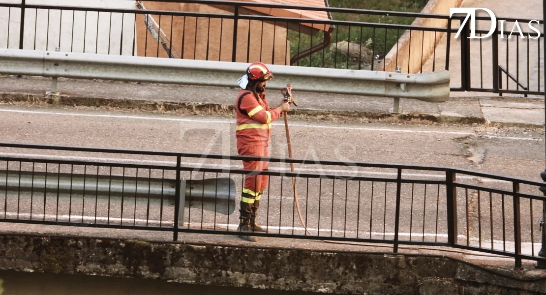 Imágenes del peligroso incendio de Pinofranqueado la tarde del miércoles