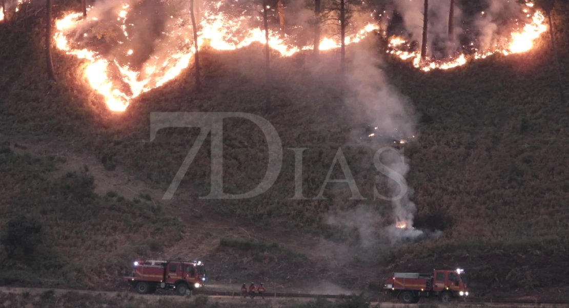 Ruegan que se renueve la política forestal en Extremadura: “No podemos esperar a que llueva”