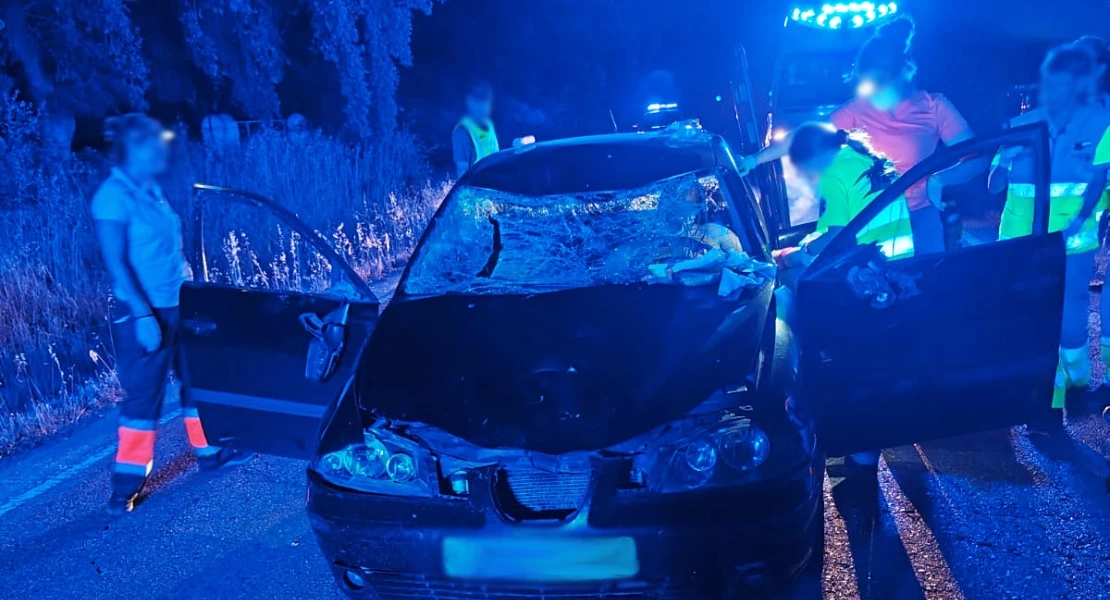 Herido un conductor de 38 años tras chocar con una vaca en la EX-311