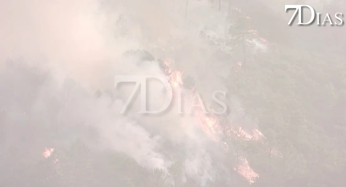 Imágenes del peligroso incendio de Pinofranqueado la tarde del miércoles