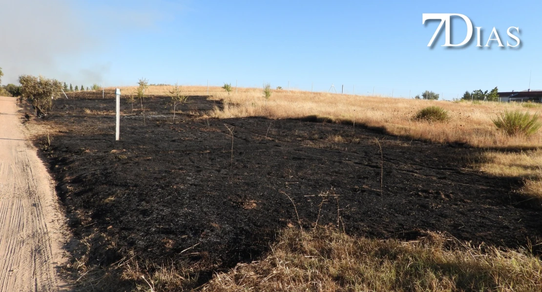 Grave incendio en Badajoz: cortan la N-432 y activan el Nivel 1 de peligrosidad