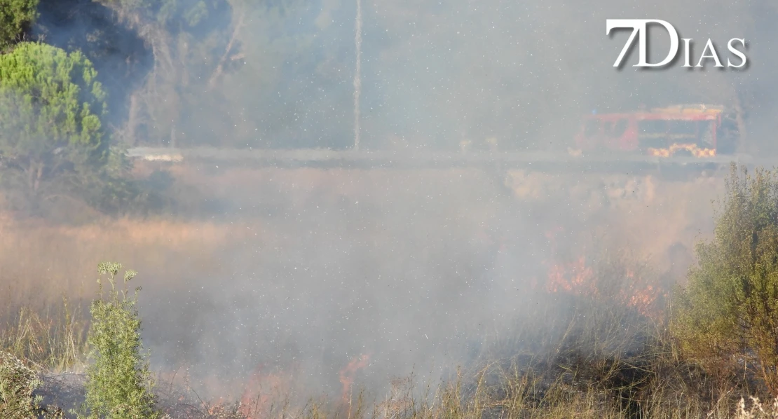 Grave incendio en Badajoz: cortan la N-432 y activan el Nivel 1 de peligrosidad