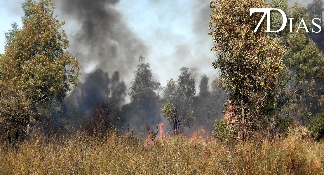 Incendio forestal junto a Valdebotoa: Bomberos de Badajoz trabajan en la extinción