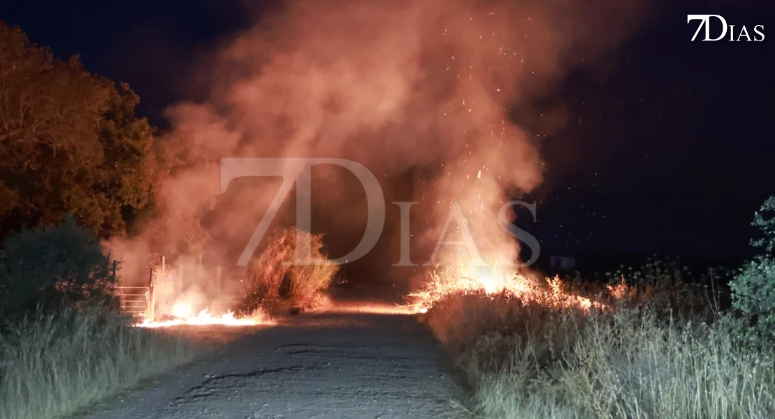 Incendio de madrugada en una finca próxima a Novelda del Guadiana