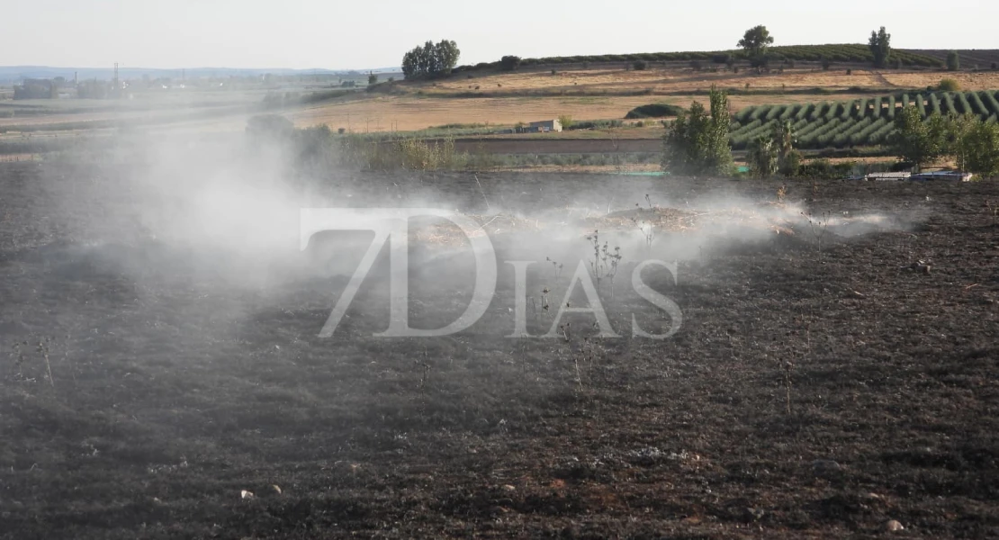 Un incendio calcina varias hectáreas junto a Talavera la Real