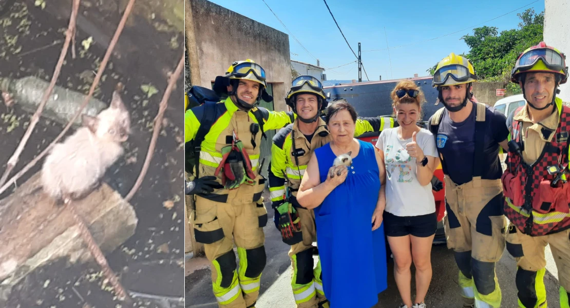Los bomberos rescatan a un gato atrapado en un pozo abandonado en Coria
