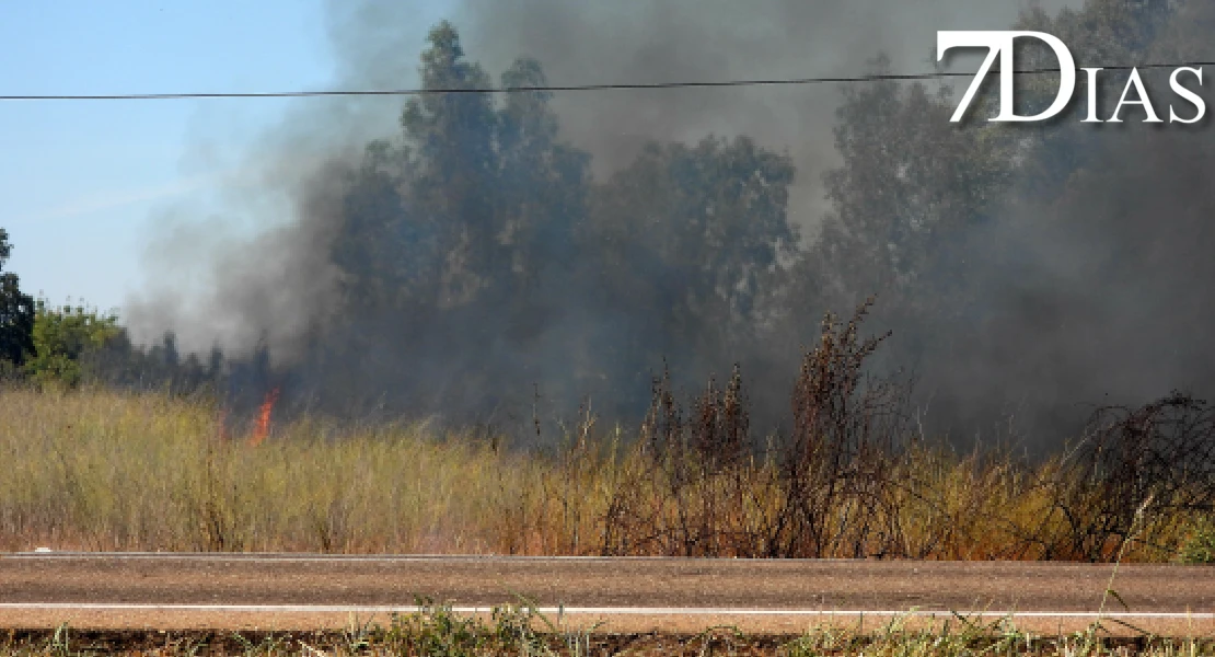 Incendio forestal junto a Valdebotoa: Bomberos de Badajoz trabajan en la extinción