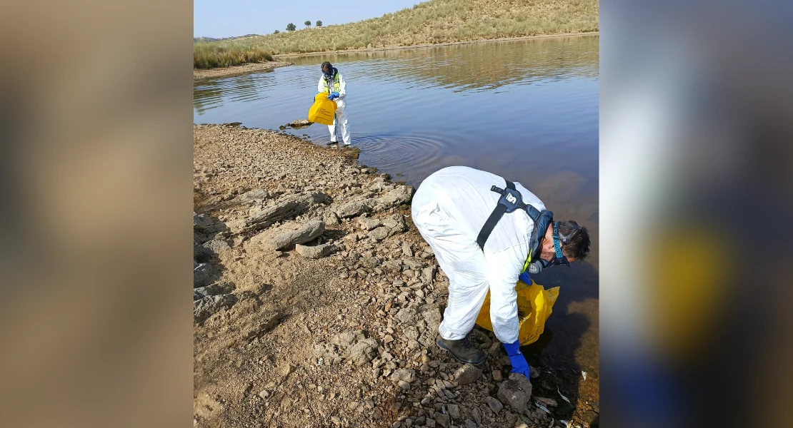 Retiran los peces muertos del embalse de Los Molinos