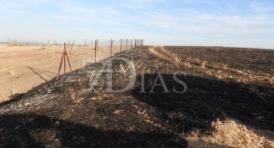 Un incendio calcina varias hectáreas junto a Talavera la Real