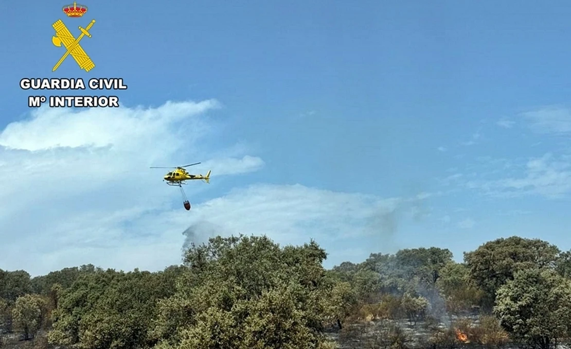 Un buitre provocó el incendio forestal en Valdecaballeros