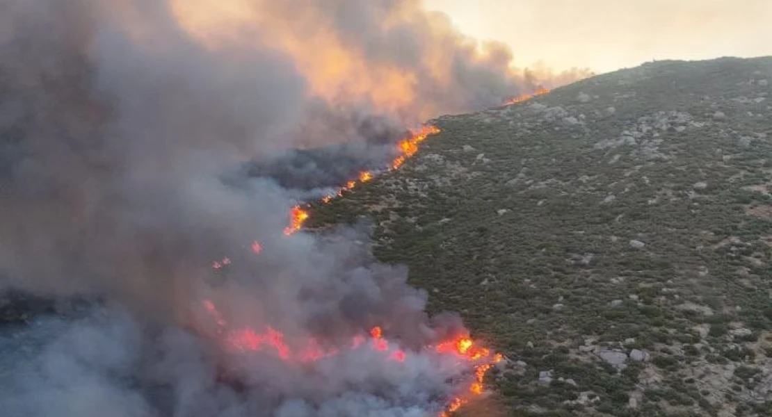 El Plan Infoex interviene en 31 incendios forestales en la última semana