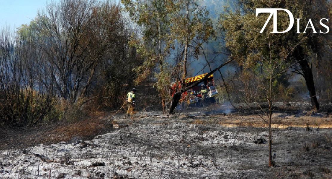 Incendio forestal junto a Valdebotoa: Bomberos de Badajoz trabajan en la extinción
