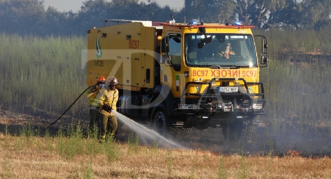 Un incendio calcina 20 hectáreas junto a la carretera de Sevilla en Badajoz